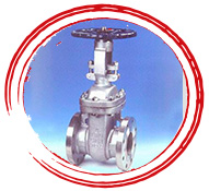ASTM A351 Gr. CF8 Globe Valve