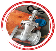 ASTM A351 Gr CF8M Gate Valve