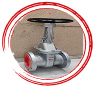 ASTM A351 Aci Grade CF8 Gate Valves