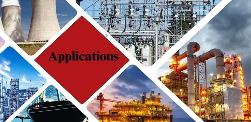 ASTM A403 WP317 Fittings Applications
