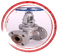 ASTM A494 CU5MCuC Valve