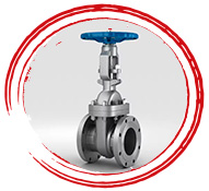 ASTM A494 CW12MW Gate Valve