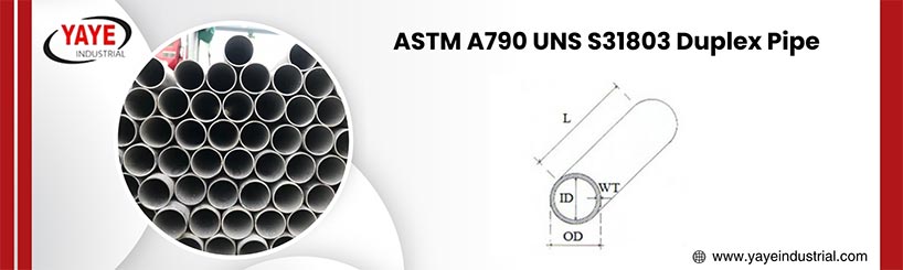 NS 31803 Duplex Stainless Steel Pipes Sizes