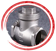 ASTM A995 4A Duplex Stainless Steel Check Valve