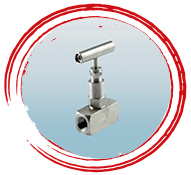ASTM A995 4A Needle Valves