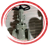 ASTM A995 CD3MWCuN Gate Valve