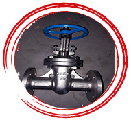 ASTM A995 GR.5A Cryogenic Gate Valve