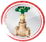B62 Bronze Needle Valve