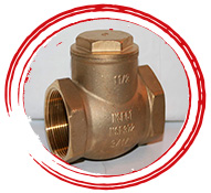 B62 CL.C83600 Swing Check Valves
