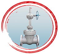 Carpenter 20 Gate Valve