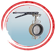 CD-4MCU Butterfly Valves