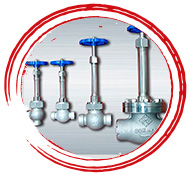 Cryogenic Globe Valve