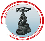 CS Globe Valve