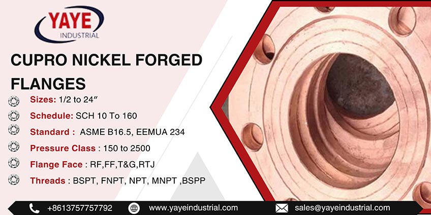 Cupro Nickel Forged Flanges