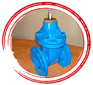 DI Resilient Seated Gate Valves