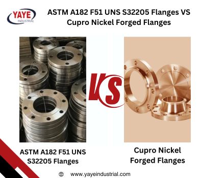 Difference ASTM A182 F51 UNS S32205 Flanges VS Cupro Nickle Forged Flanges