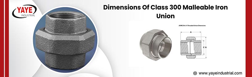 Dimensions Of Class 300 Malleable Iron Union
