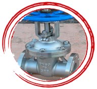 DIN 1.4539 Globe Valve