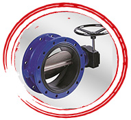 Double Flanged Butterfly Valve