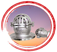Ductile Iron Foot Valve