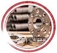 Duplex 2205 Slip On Flange