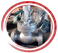 Duplex Stainless Steel ASTM A995 Globe Valve