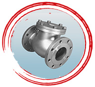Duplex Steel UNS S31803 Check Valve