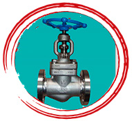 F316 Globe Valve