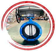Flanged Butterfly Valves