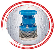 Foot Valve