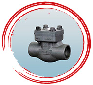 Forged Check Valve