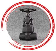 Forged Globe Valves