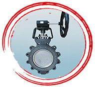 Forged Lug Type Butterfly Valve