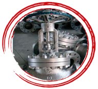    Hastelloy C22 Globe Valve 