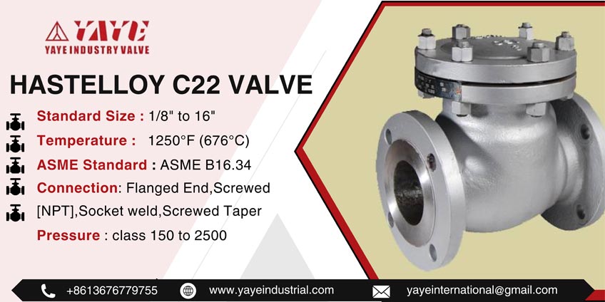 Hastelloy C22 Valve 