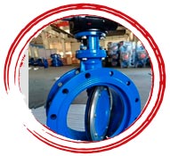 UNS N10276 Double Flanged Butterfly Valve
