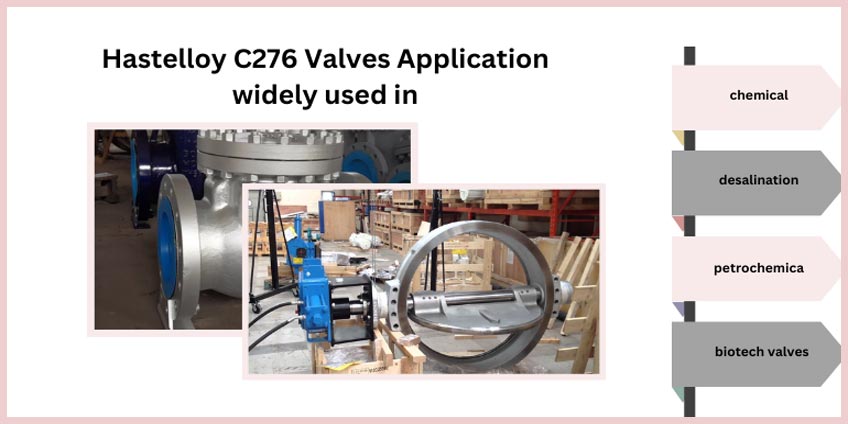 Hastelloy C276 Swing Check Valve Application
