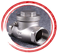 High Pressure Stainless Steel Check Valve