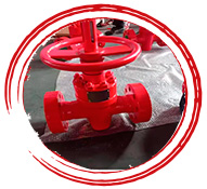 Hydraulic Gate Valves