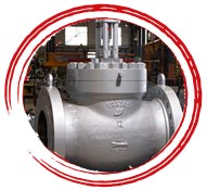 Inconel 625 Exhaust Valve Check Valve