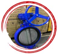 Inconel 625 Wafer Type Butterfly Valve