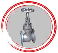 Inconel 825 Valve