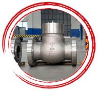 Inconel Alloy 625 Check Valve