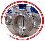 Monel 400 Wafer Type Butterfly Valve