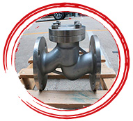 Lift Check Valve