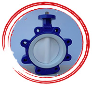 Lined Butterfly Valves
								