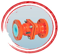 Lined Check Valve