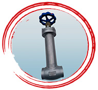 Low Carbon Steel Cryogenic Globe Valve