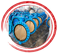 Lug Type  Butterfly Valve
