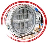 Monel UNS N04400 Flanged Butterfly Valve